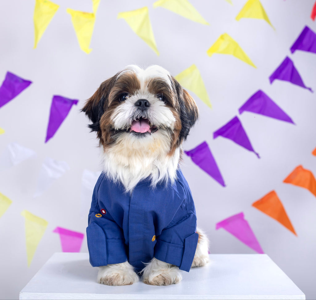 Persian Blue Mirrorwork Dog Kurta