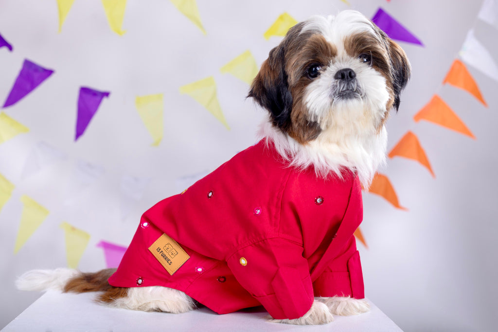 Electric Red Mirrorwork Dog Kurta