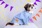 Powder Blue Mirrorwork Dog Kurta