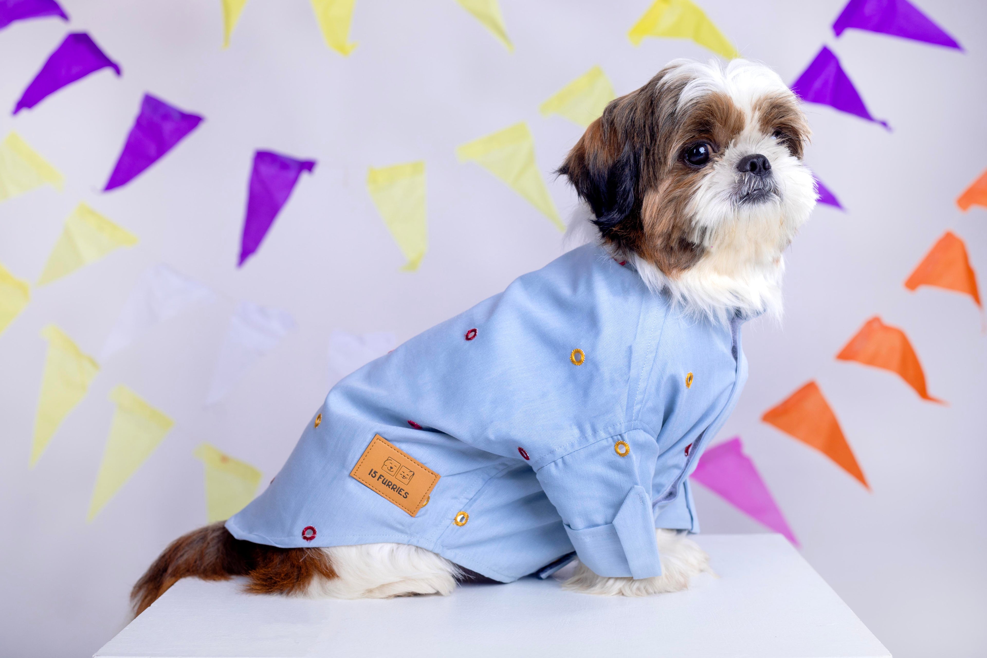 Powder Blue Mirrorwork Dog Kurta