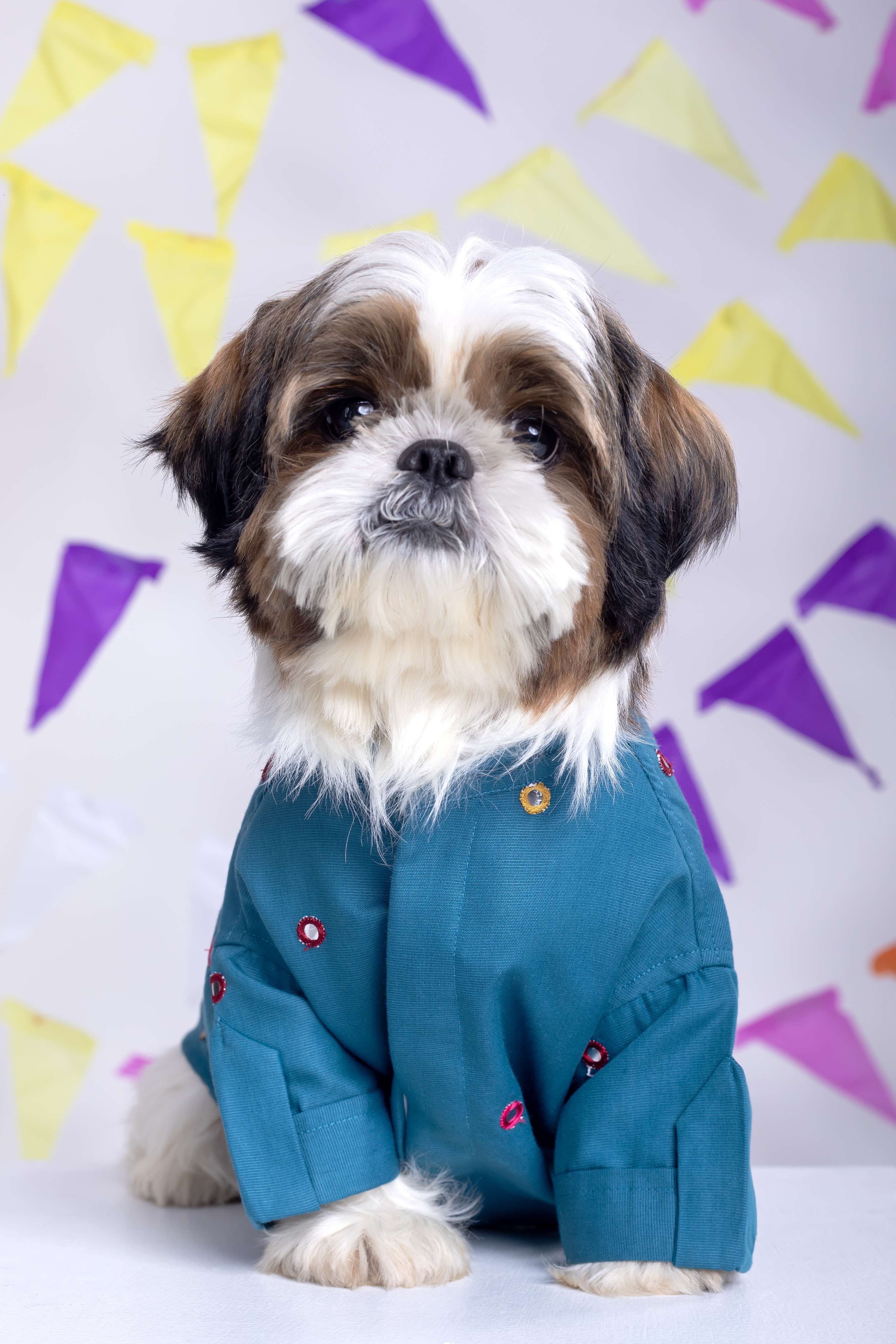 Teal Blue Mirrorwork Dog Kurta