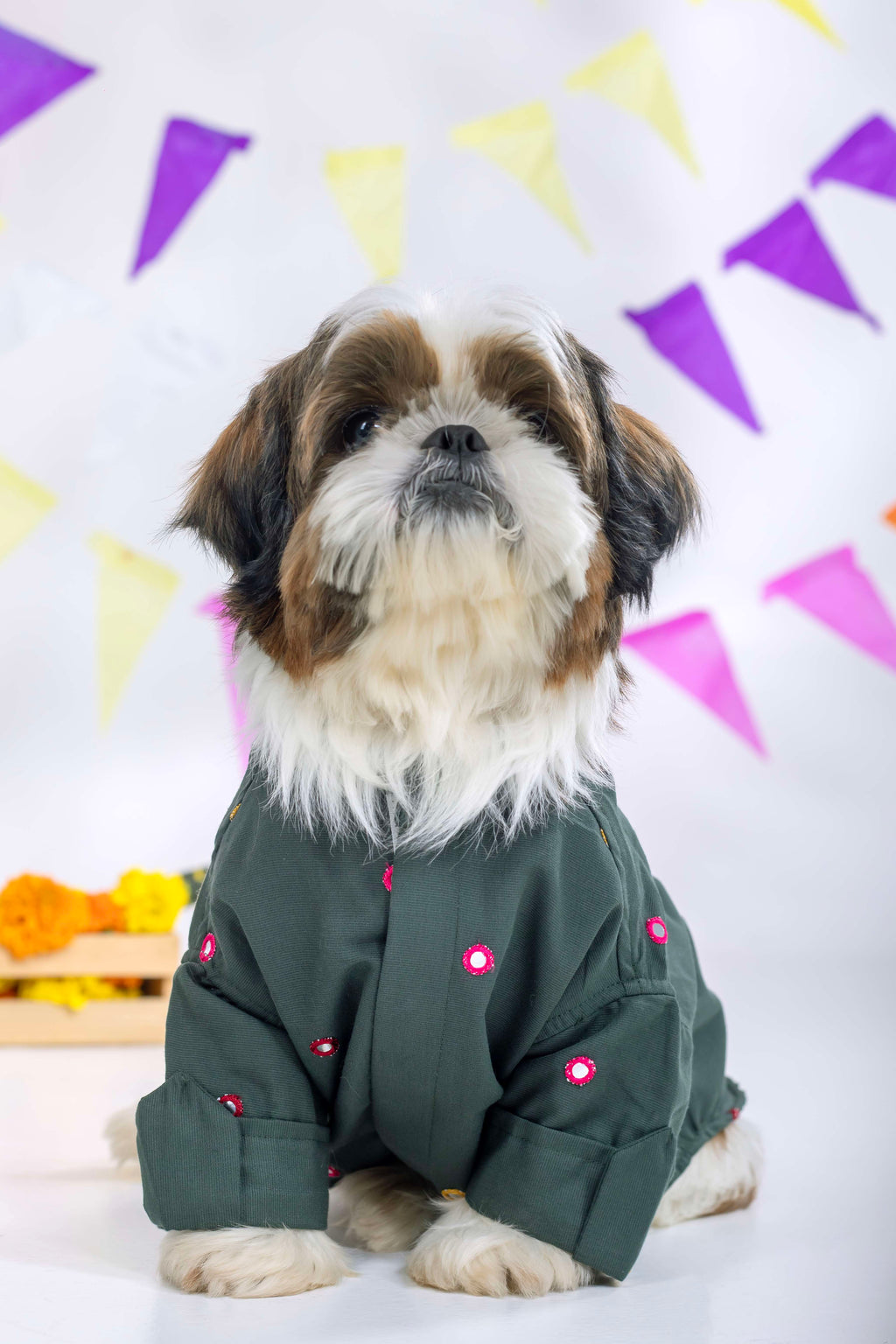 Hunter Green Mirrorwork Dog Kurta