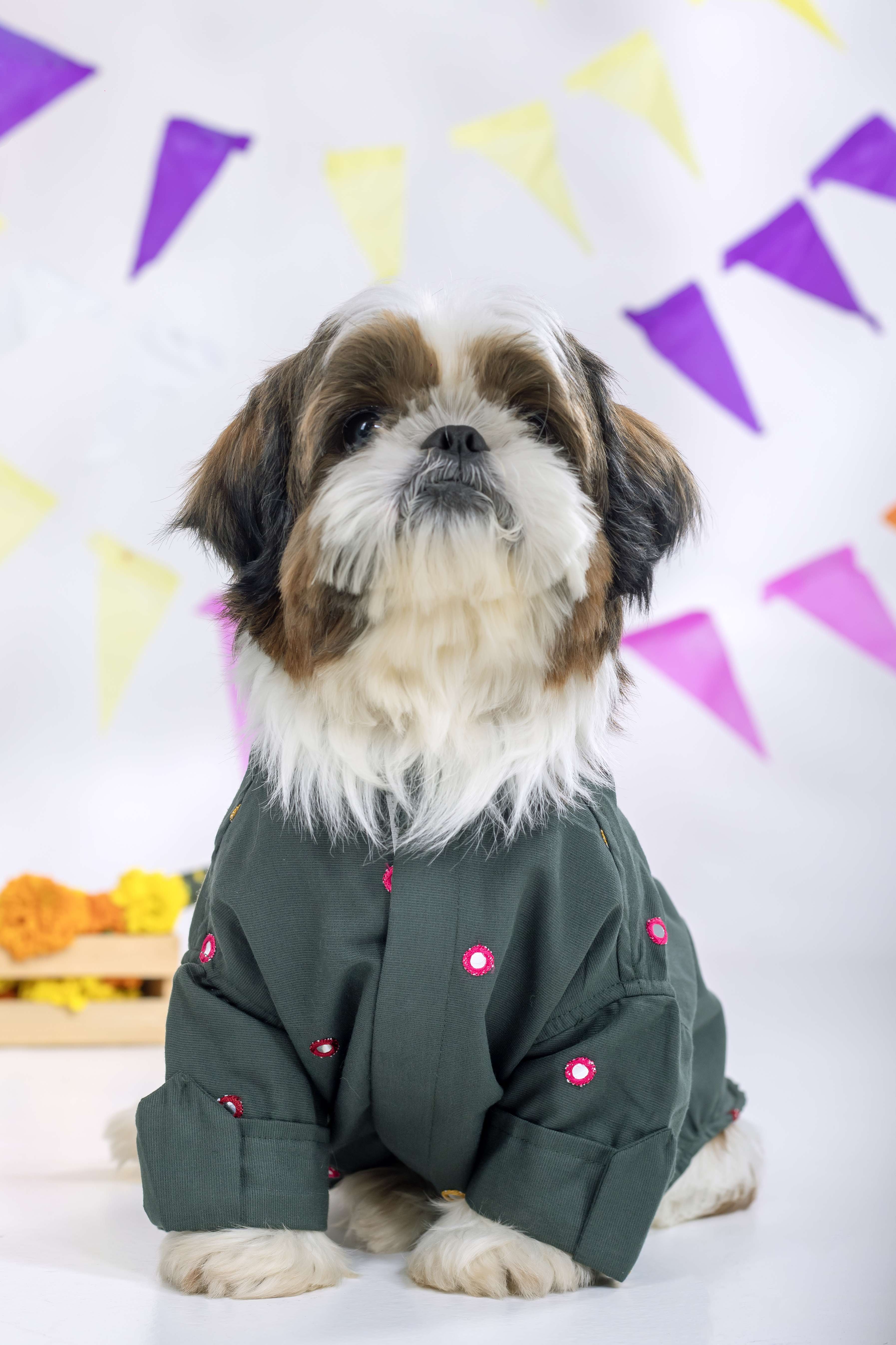 Hunter Green Mirrorwork Dog Kurta