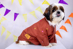 Rust orange Mirrorwork Dog Kurta