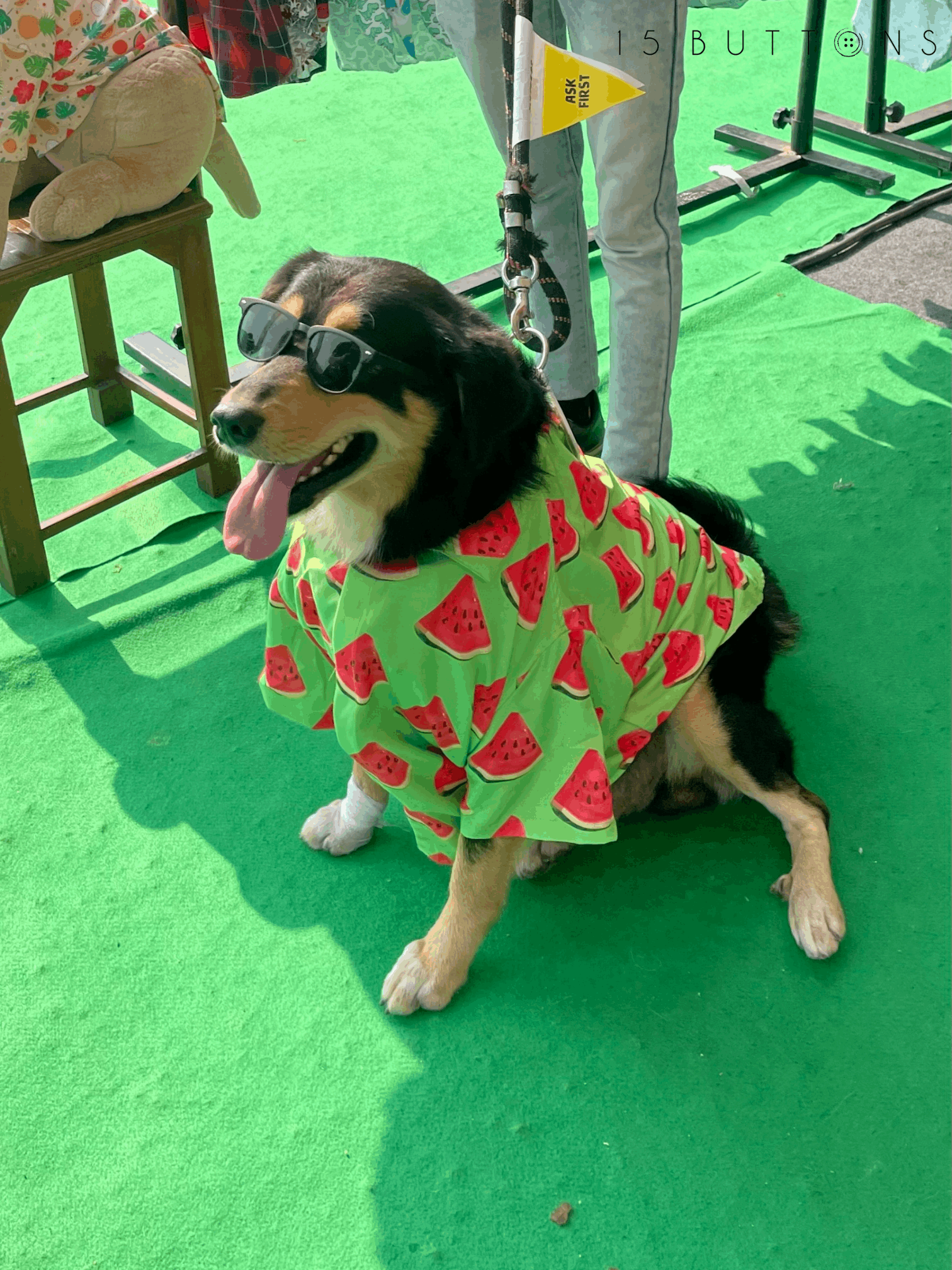 Watermelon Dog Shirt