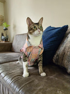 KITTY DREAMS CAT SHIRT