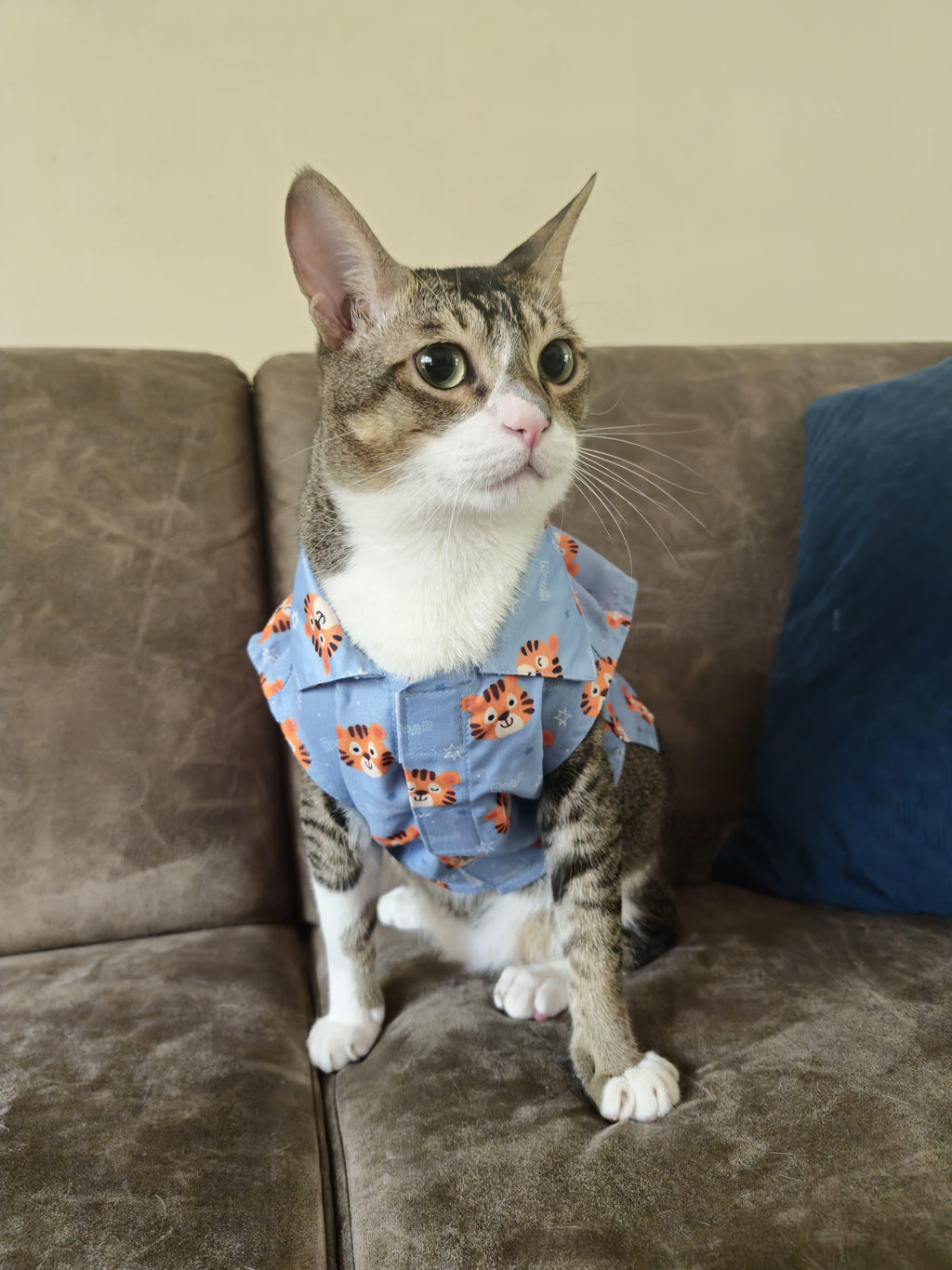 TIGER CAT SHIRT