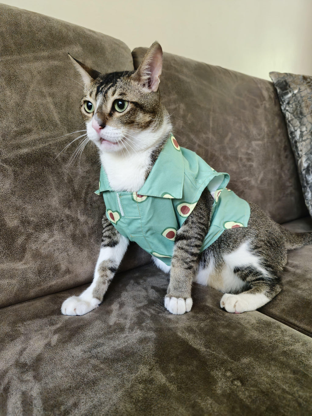 AVOCADO CAT SHIRT