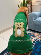 Green Teddy Sweater