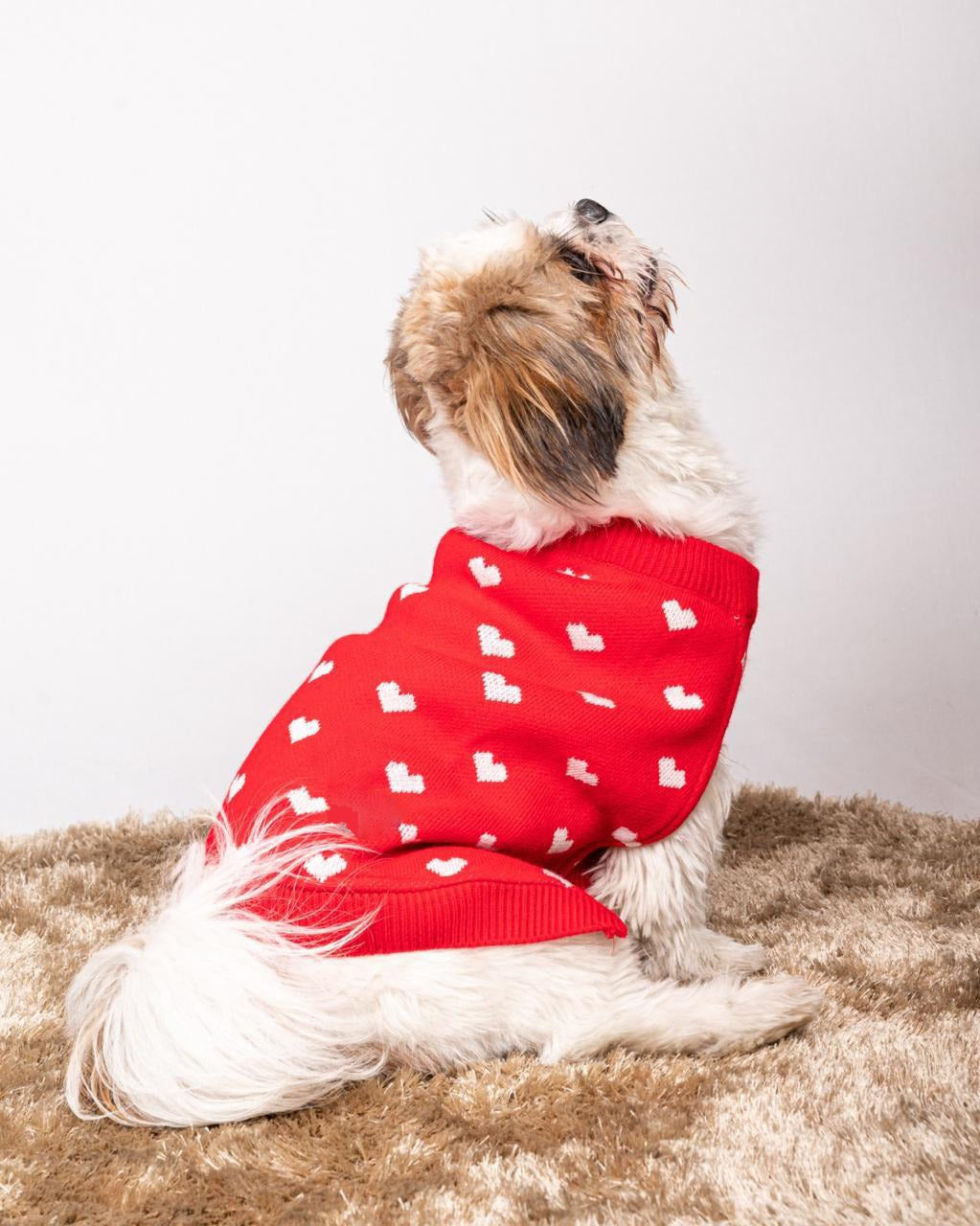 Red Heart Sweater
