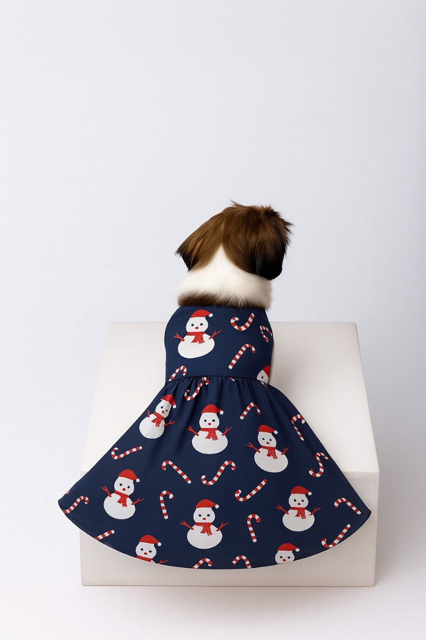SNOWMAN DOG DRESS