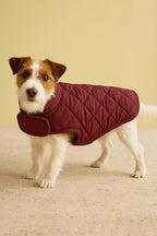 Wine Puffer Jacket