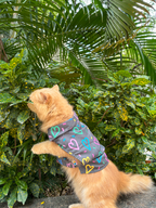 HEART BUZZ CAT SHIRT