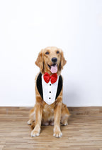 TUXEDO BANDANA