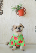 Watermelon Dog Shirt