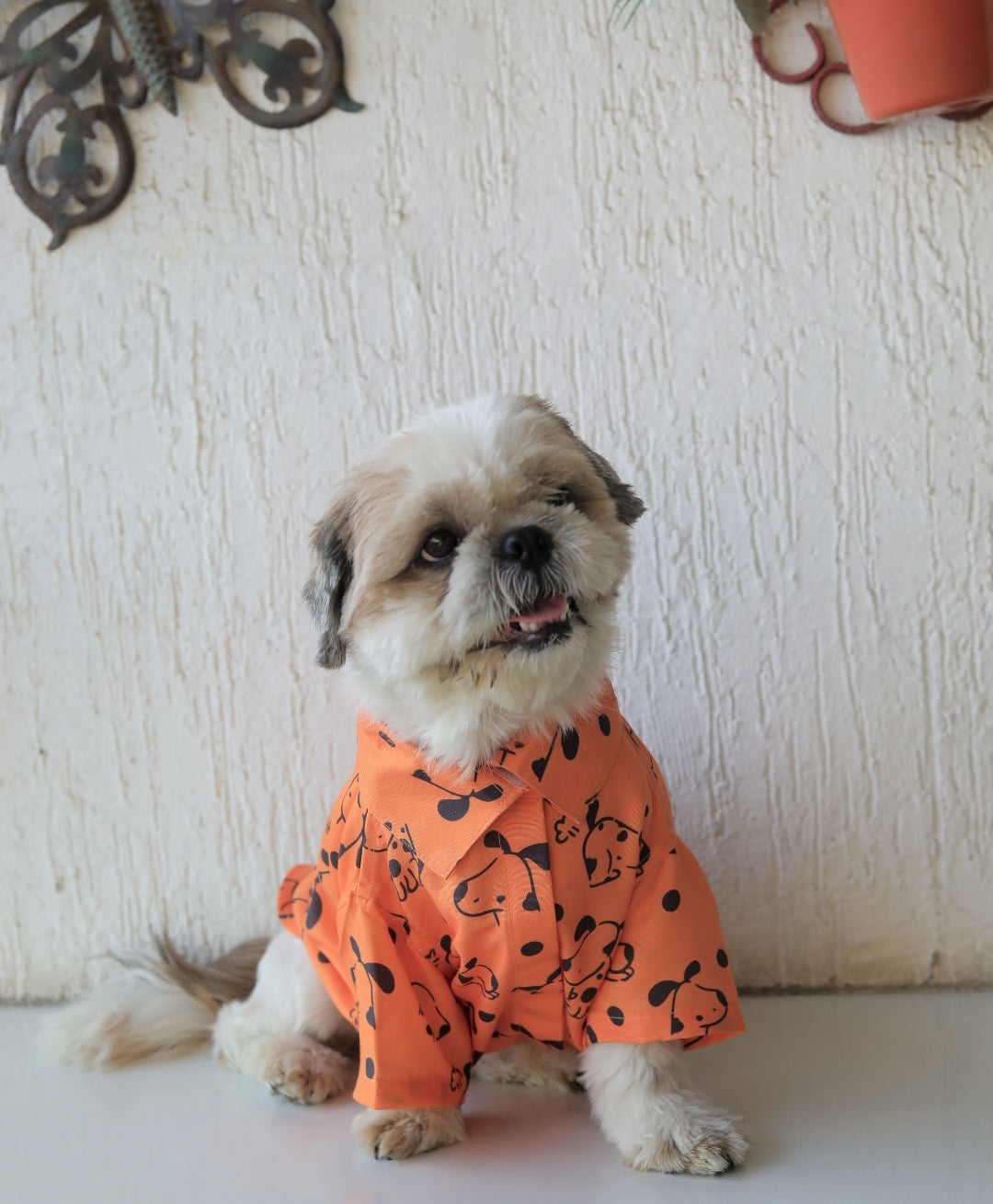 ORANGE SNOOPY