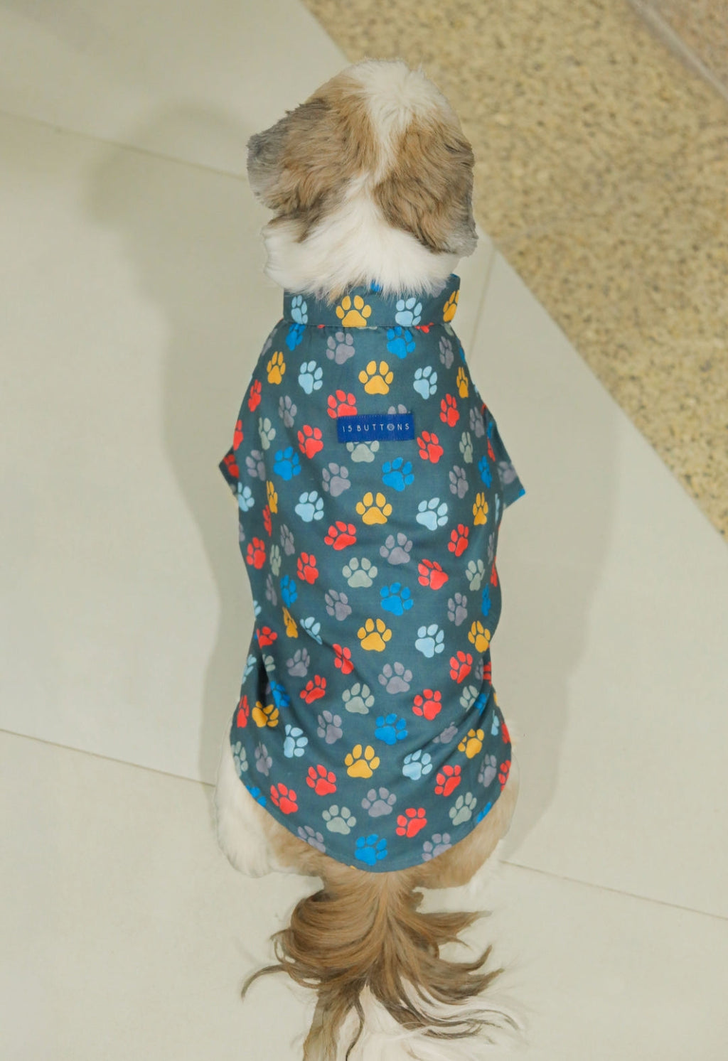 Pawsome Dog Shirt
