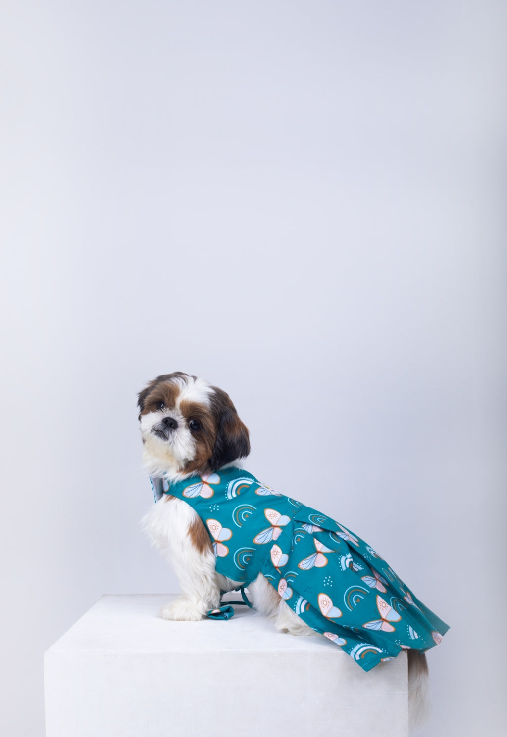 Butterfly Dog Dress