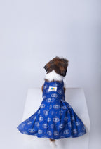 Evil Eye Dog Dress