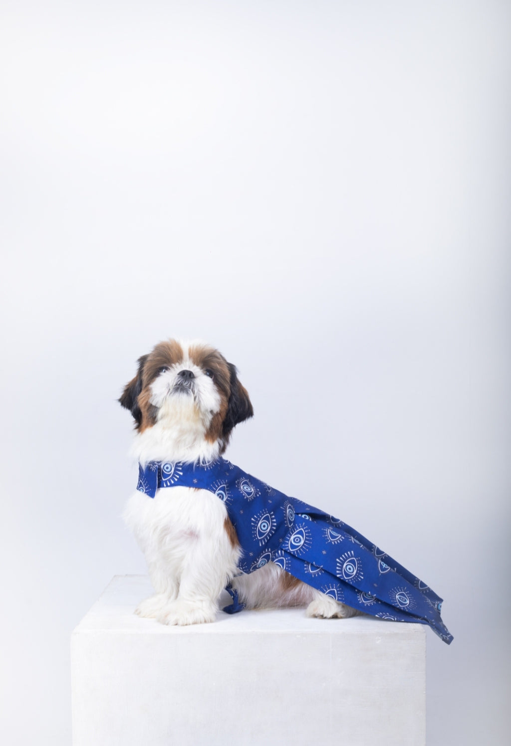 Evil Eye Dog Dress