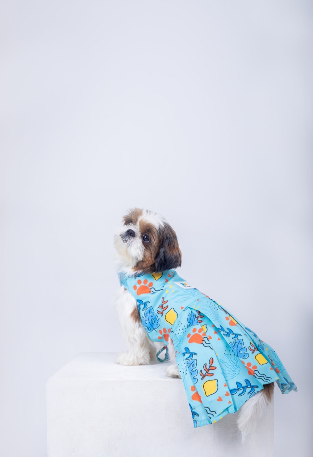 Monstera Tropical Dog Dress