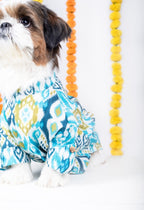 NAWAB DOG KURTA