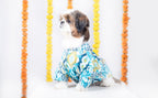 NAWAB DOG KURTA