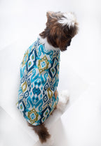 NAWAB DOG KURTA