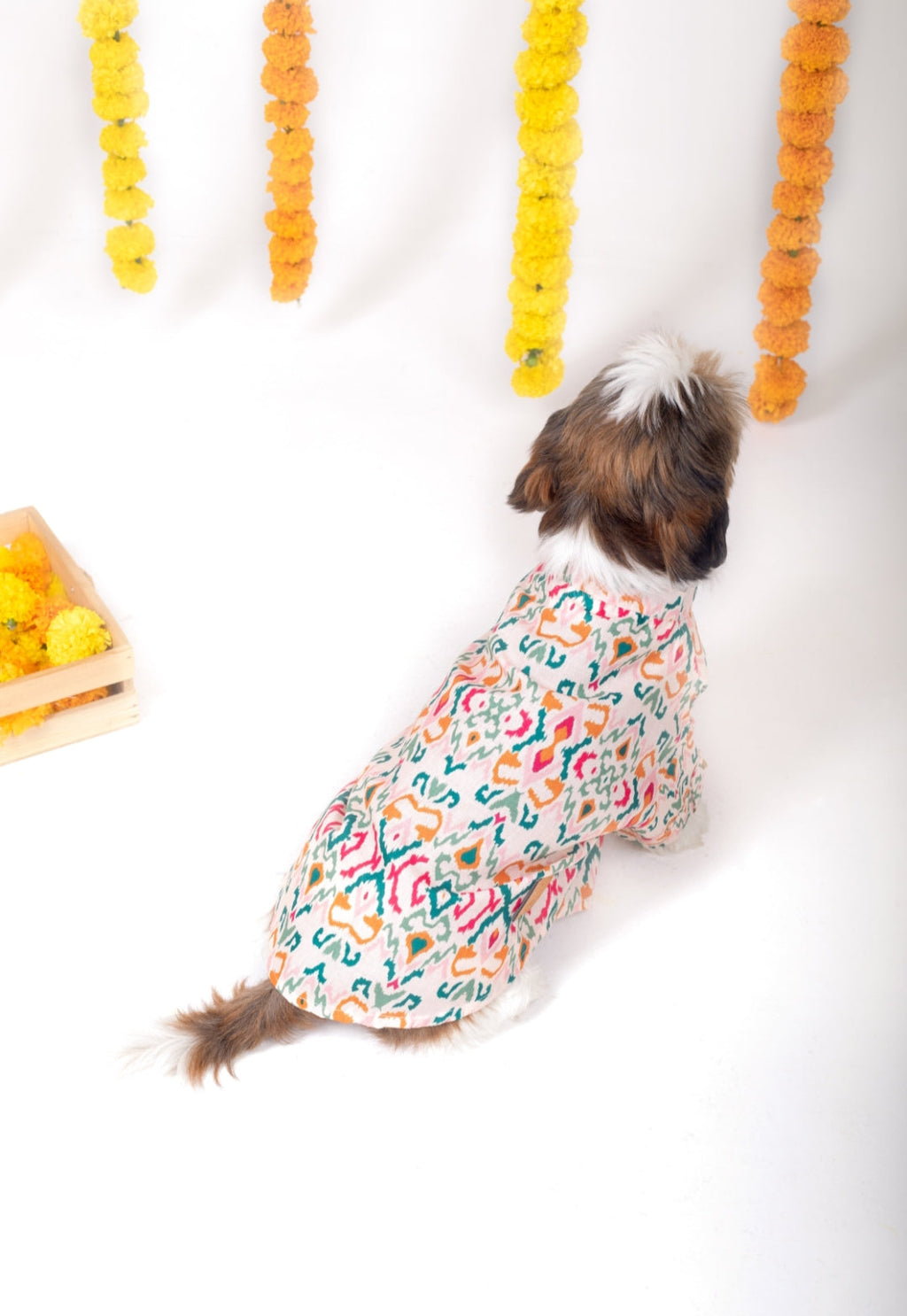 RANGEELA DOG KURTA