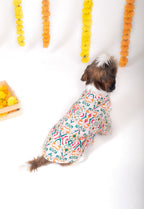 RANGEELA DOG KURTA