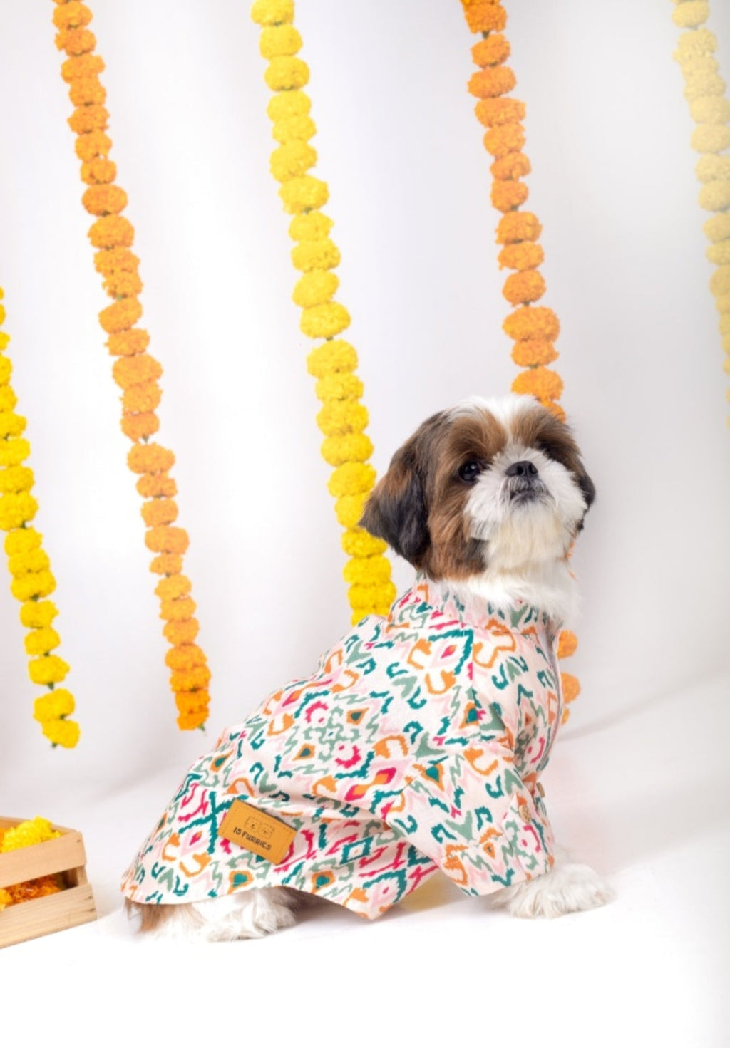 RANGEELA DOG KURTA