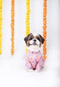 UTSAV DOG KURTA
