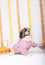 UTSAV DOG KURTA