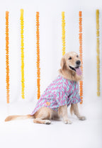 PHATAKA DOG KURTA