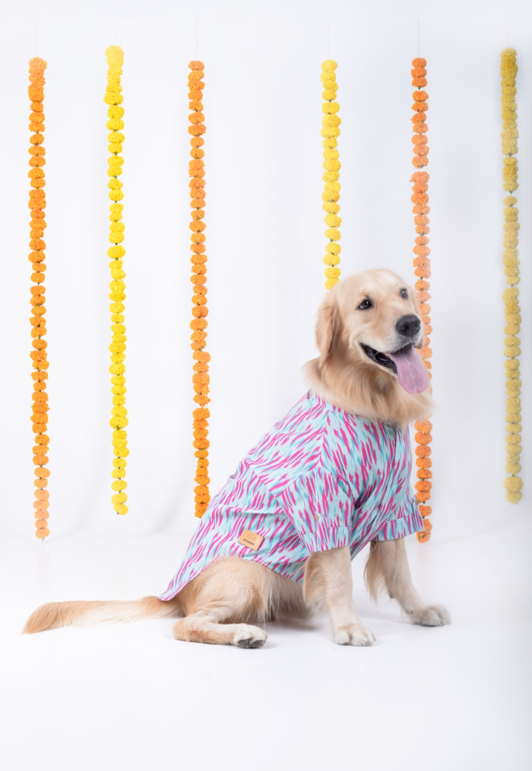 PHATAKA DOG KURTA