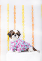 PHATAKA DOG KURTA