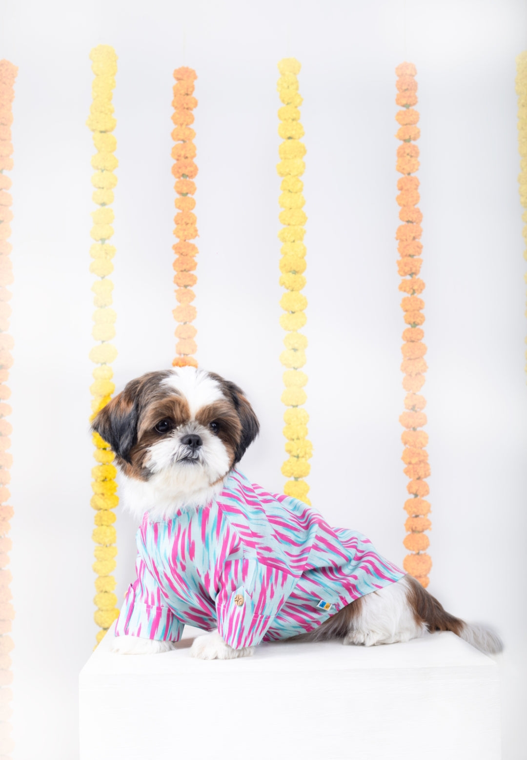 PHATAKA DOG KURTA