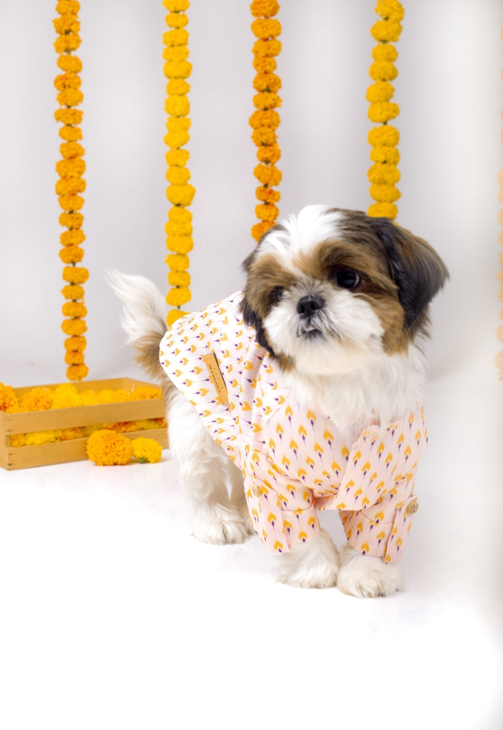 SANSKRITI DOG KURTA