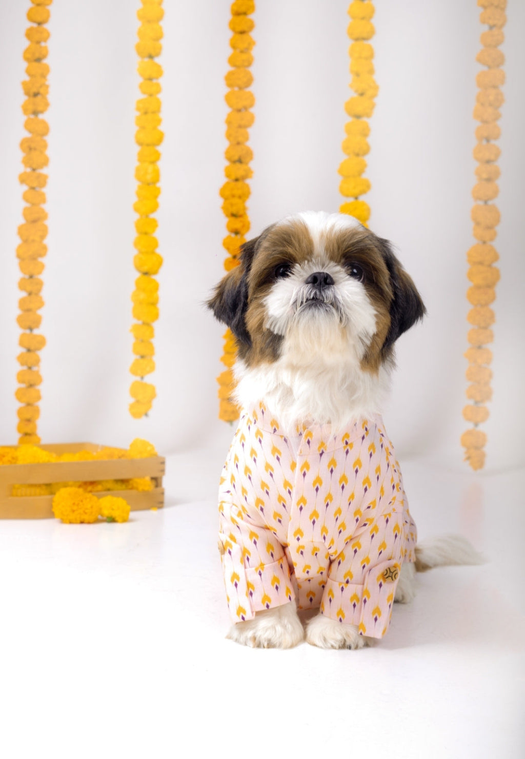 SANSKRITI DOG KURTA