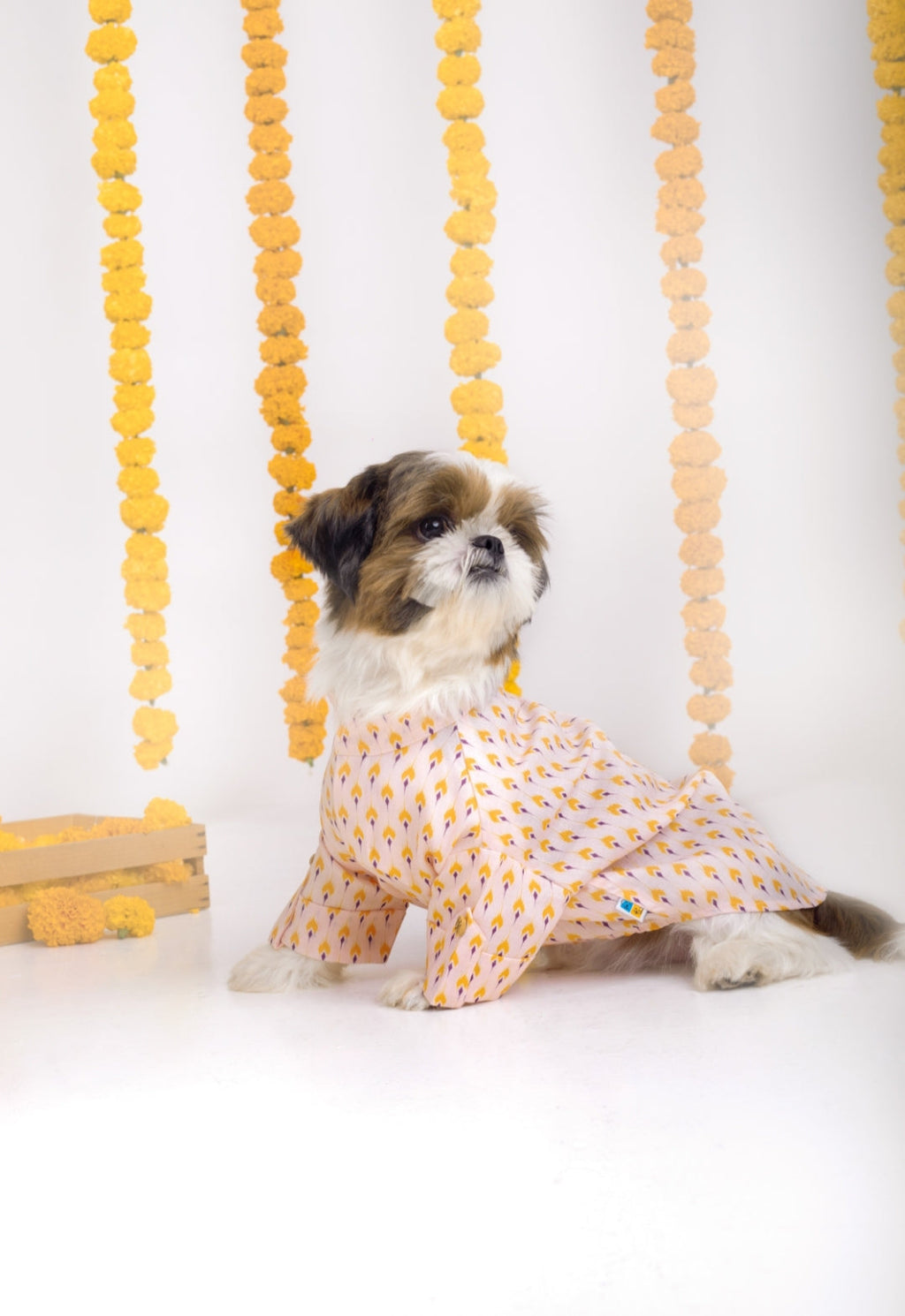 SANSKRITI DOG KURTA