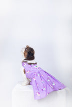 Unicorn Dog Dress