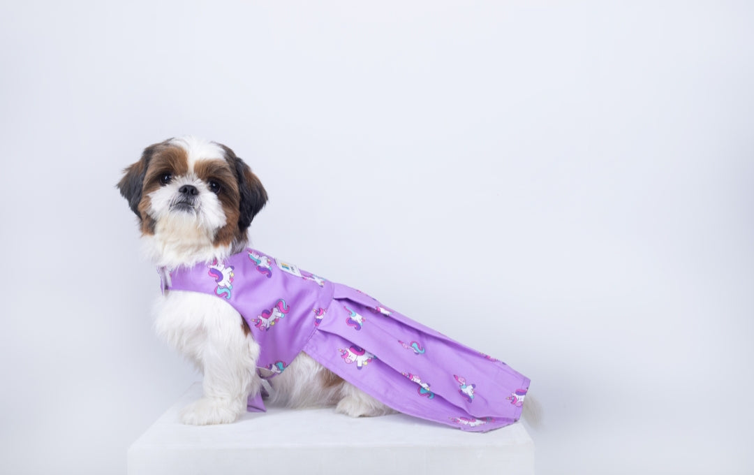 Unicorn Dog Dress