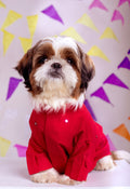 Electric Red Mirrorwork Dog Kurta