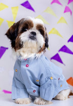 Powder Blue Mirrorwork Dog Kurta