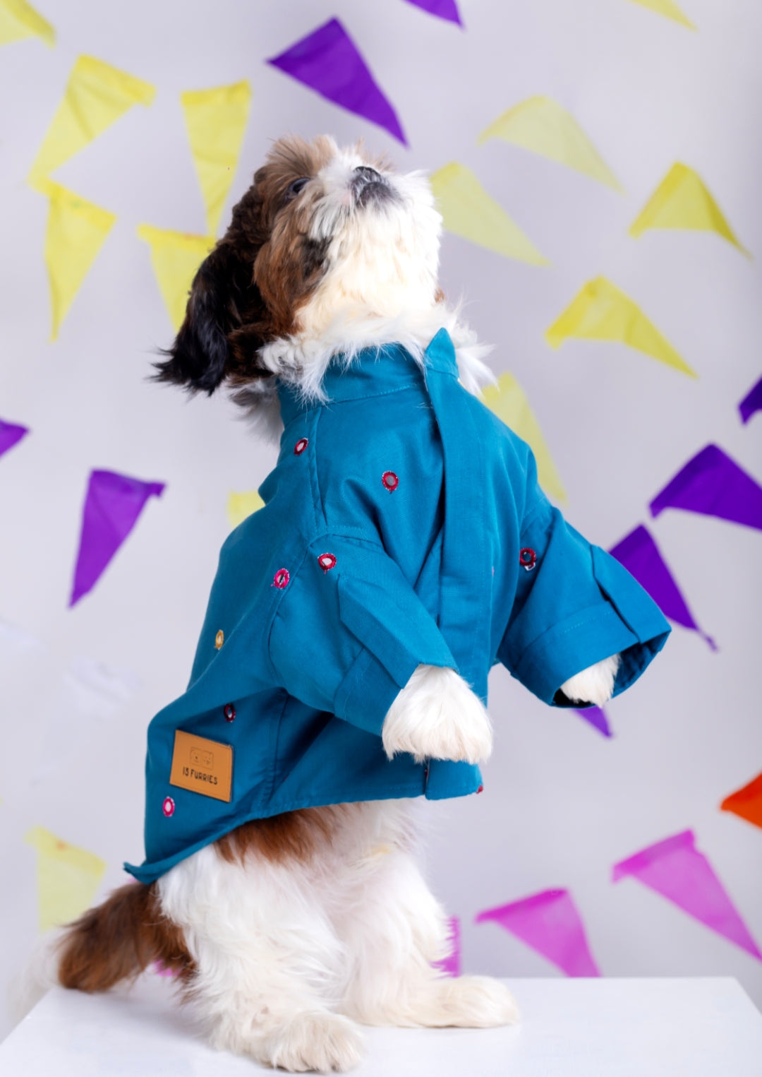 Teal Blue Mirrorwork Dog Kurta