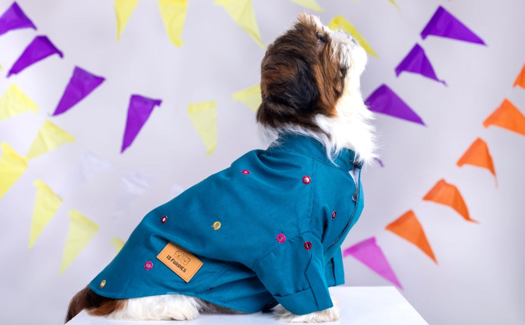 Teal Blue Mirrorwork Dog Kurta
