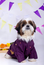 Purple Wine Mirrorwork Dog Kurta