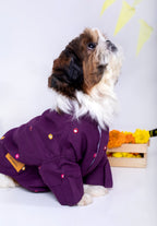 Purple Wine Mirrorwork Dog Kurta