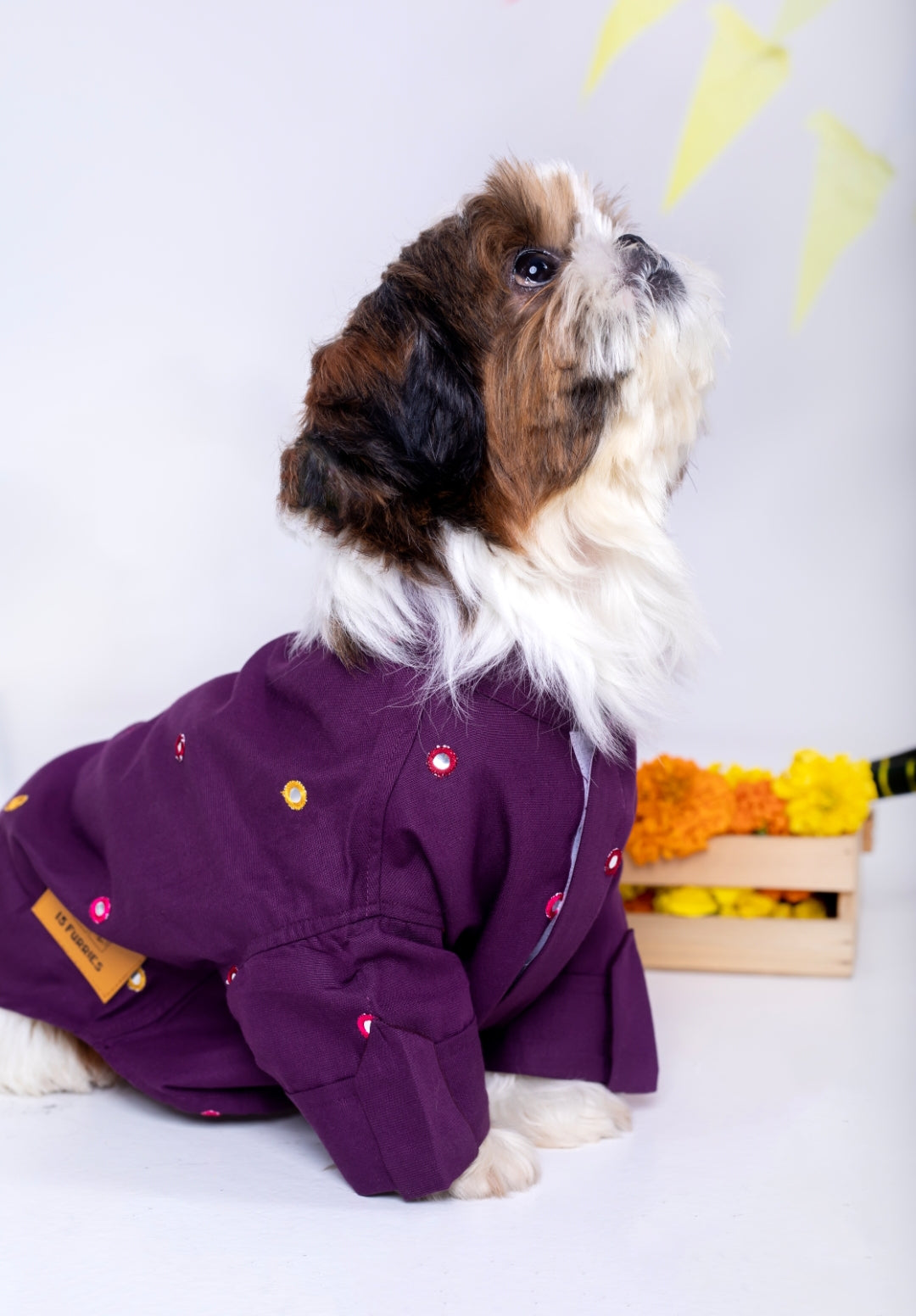Purple Wine Mirrorwork Dog Kurta