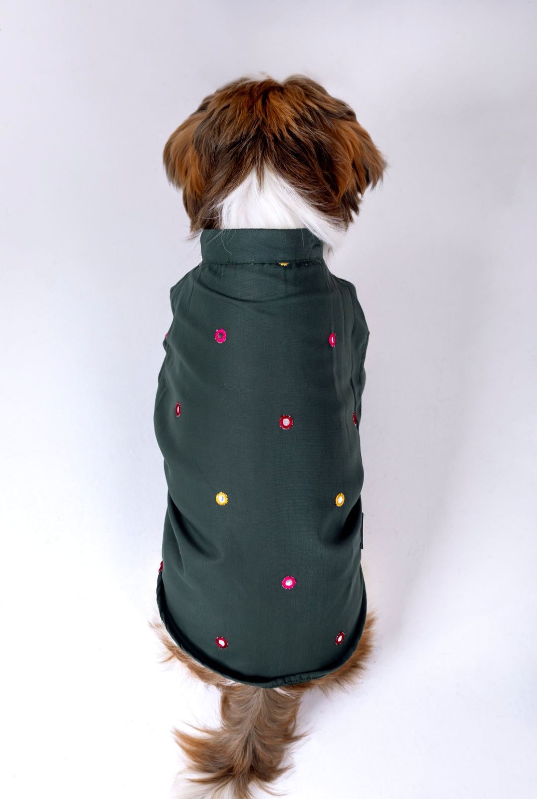 Hunter Green Mirrorwork Dog Kurta